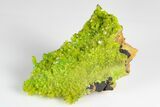 Apple-Green Pyromorphite Crystal Cluster - China #179826-1